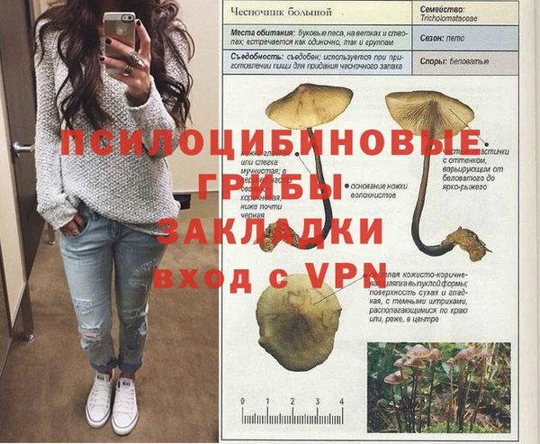 MDMA Premium VHQ Алзамай