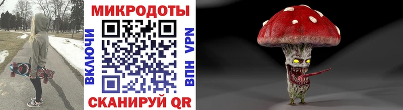 дарнет шоп  Дно  Псилоцибиновые грибы Psilocybe 