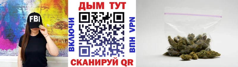 Бошки марихуана Bruce Banner  Дно 